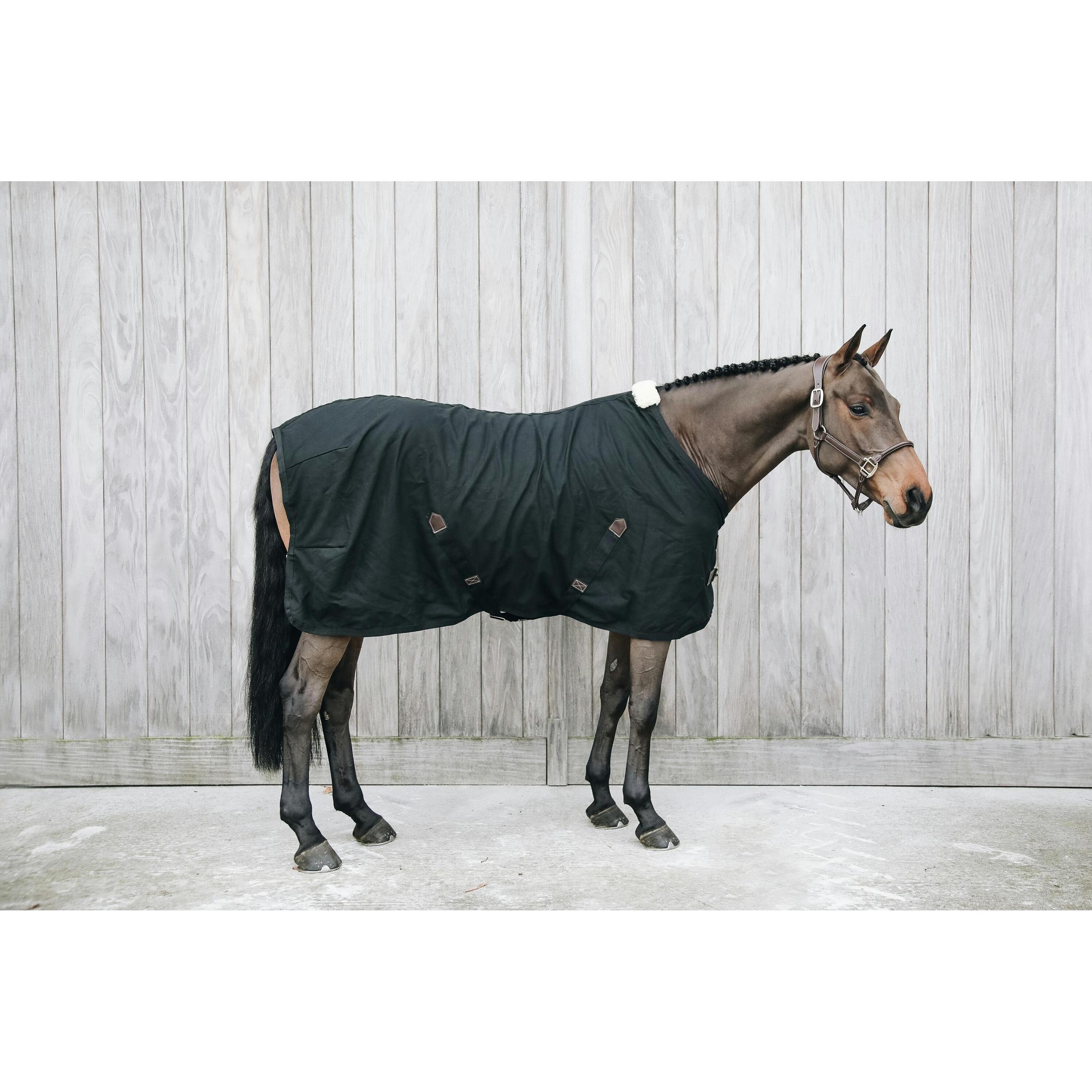 Thumbnail - Kentucky Horsewear, Pferdedecke, (125 cm)