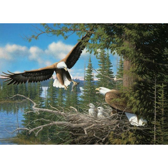 Thumbnail - Cobble Hill Nesting Eagles Puzzle 1000 Teile (1000 Teile)