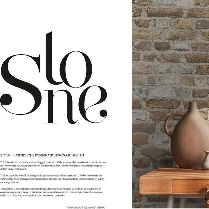 Image du produit A.S. Création Steintapete (53 x 1005 cm)