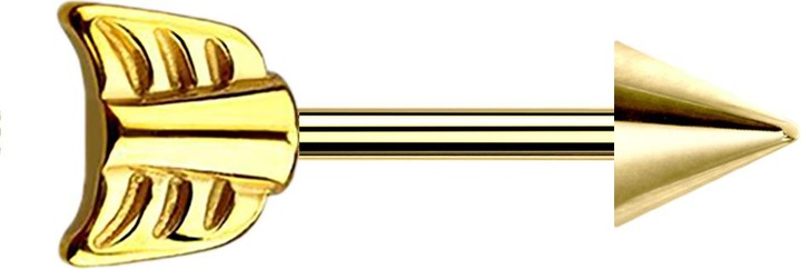 Produktbild Star Piercing Barbell vergoldet mit Cone und Pfeil (ohne Messing, Chirurgenstahl 316L)