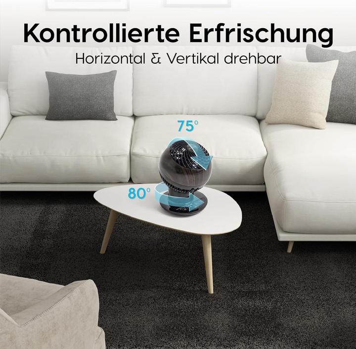 Actual product image Iris Ohyama Tischventilator PCF-SC15T mit Fernbedienung, oszillierend (30 dB)