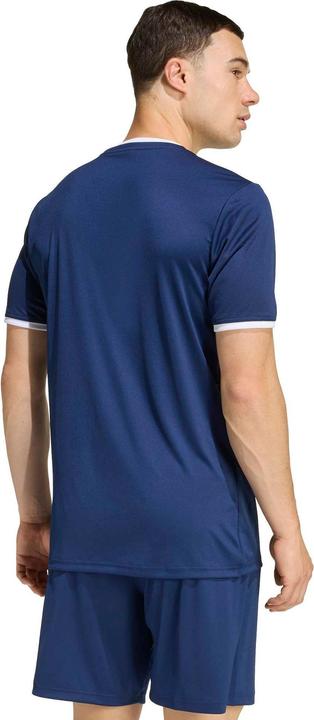 Actual product image Adidas Entrada T-Shirt (XL)