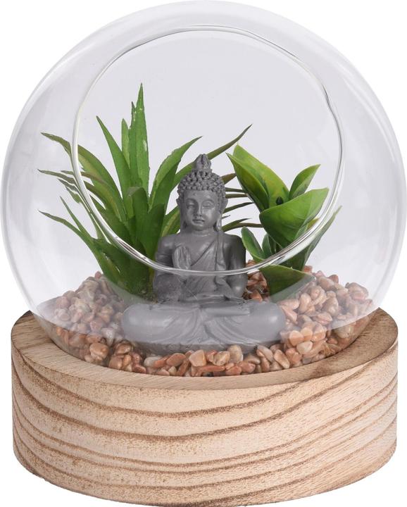 Image du produit HTI-Living Plante décorative dans une boule en verre (12.50 cm)