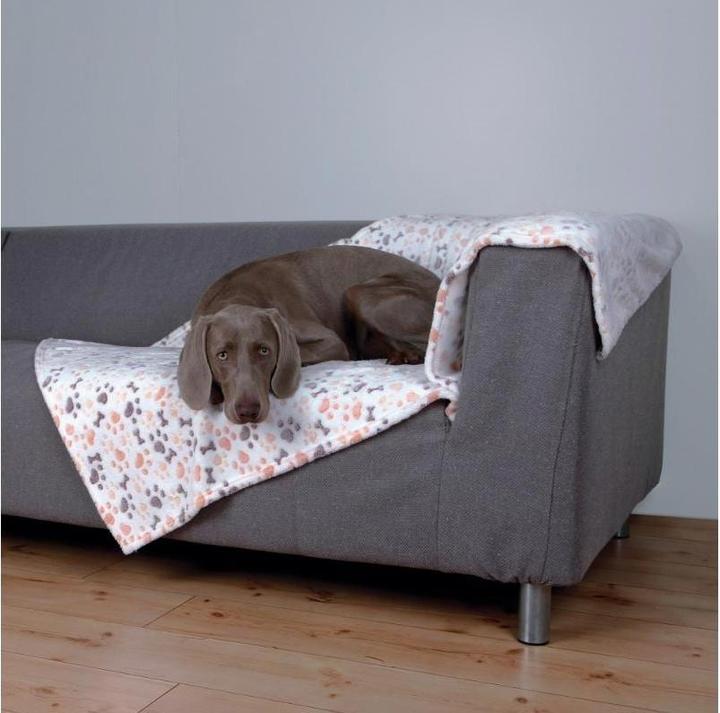 Actual product image Trixie Lingo (Dog)