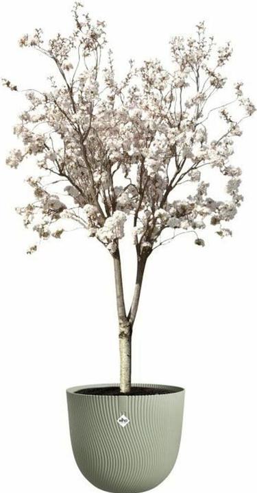 Actual product image Elho Sereh Rund (47 cm)