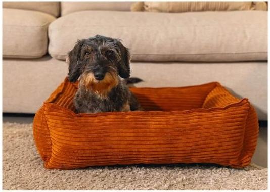 Actual product image Designed by Lotte Ribbed (Dog)