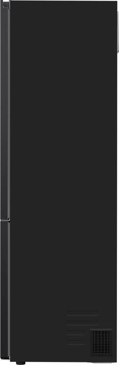 LG GBV3200CEP (387 l)
