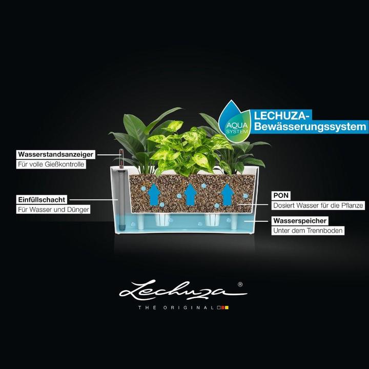 Productafbeelding Lechuza Delta (40 x 15 x 18 cm)