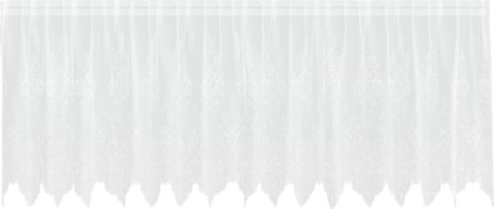 Produktbild vidaXL Spitzenvorhang (400 x 120 cm)