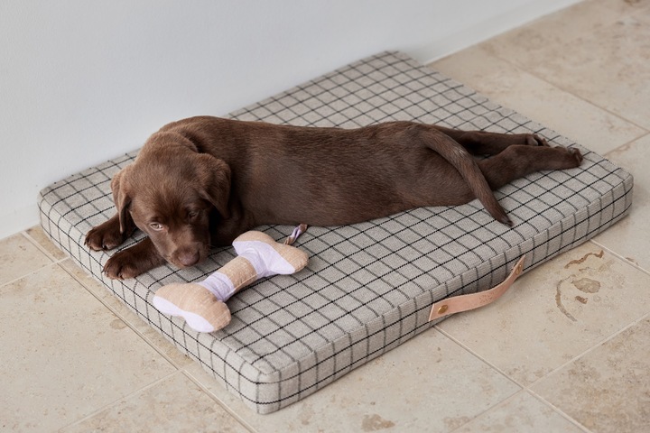 Produktbild Oyoy ZOO - Ashi Dog Toy Large - Purple/Brown (Z60069) (Plüschspielzeug Hund)