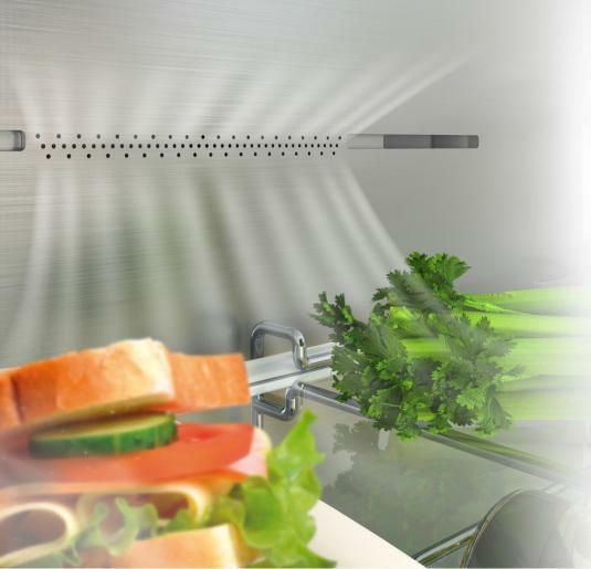 Actual product image Hisense RB440N4CCB (300 l)