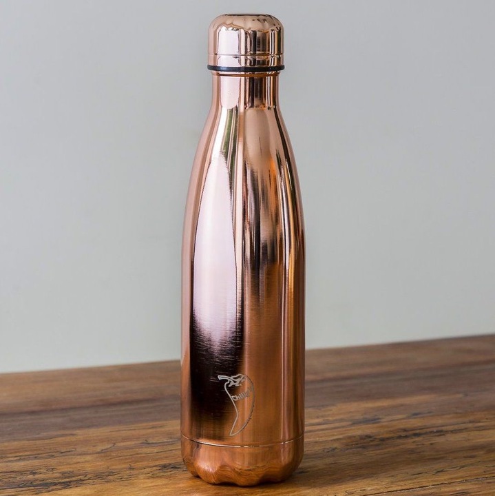 Image du produit Chilly’s Chrome (0.50 l)