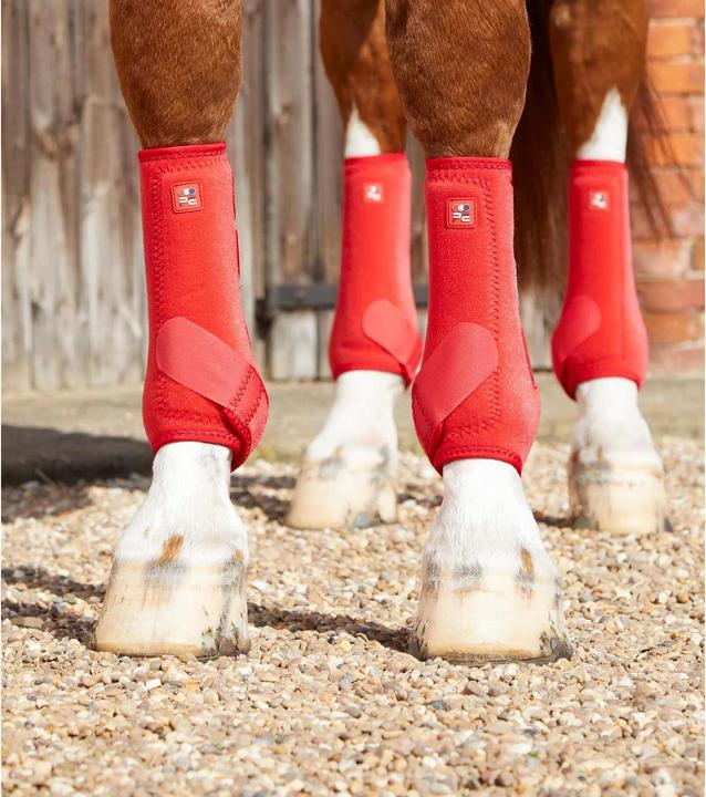 Actual product image Premier Equine horse gaiters preier equine air-tech sports edecine