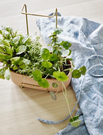 Image du produit Skagerak Herb Carrier (12 cm)