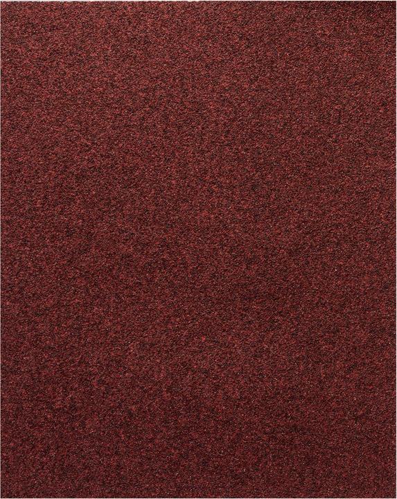 Bosch Professional Zubehör Foglio abrasivo C420 SfWP, 230 x 280 mm, G60 (60)