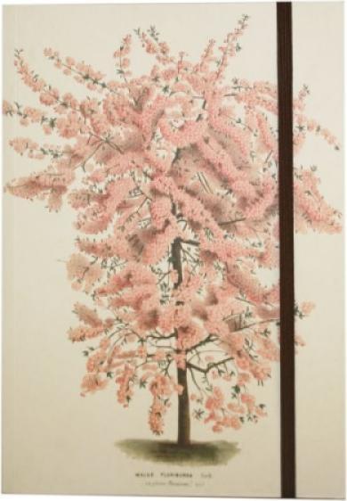 Actual product image Paperblanks Softcover Flexis - Astra - Midi - Unlined (12 x 17.5 cm, Plain, Soft cover)