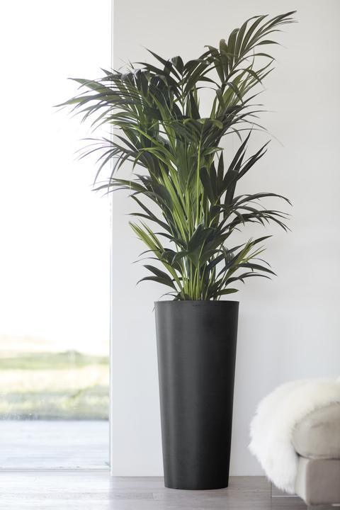 Actual product image Ecopots Amsterdam (32 cm)