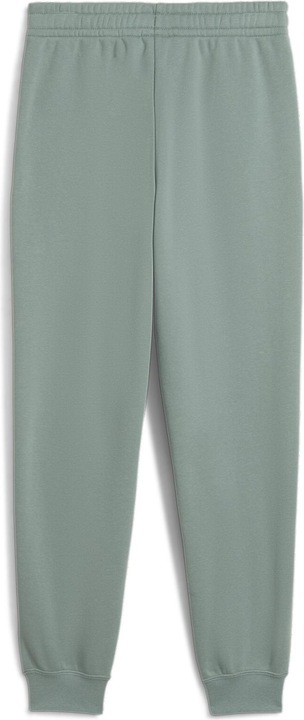 Actual product image Puma ESS 2 COLOR No. 1 Logo Sweatpants FL B (140)