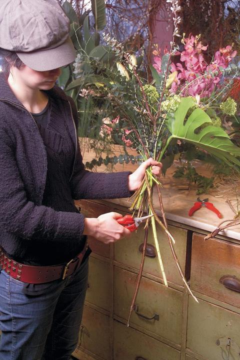 Produktbild Felco Blumen-/Früchtescheren