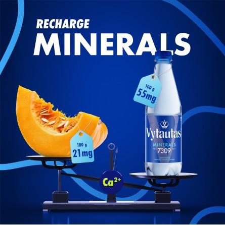 Image du produit BMV Vytautas Mineralwasser mit Kohlensäaure (6 x 150 cl)