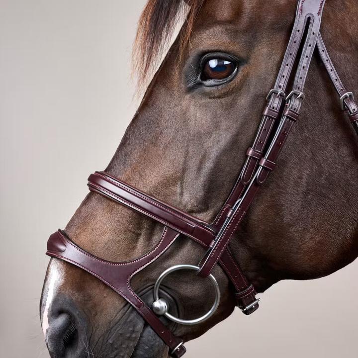 Image du produit Dy'on New English Collection