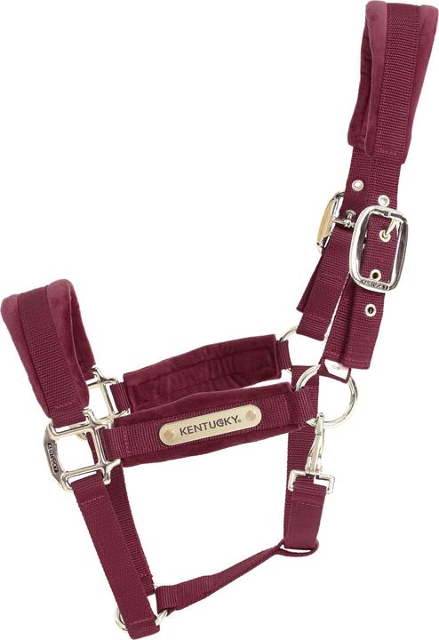Immagine prodotto Kentucky Horsewear Cavezza in velluto