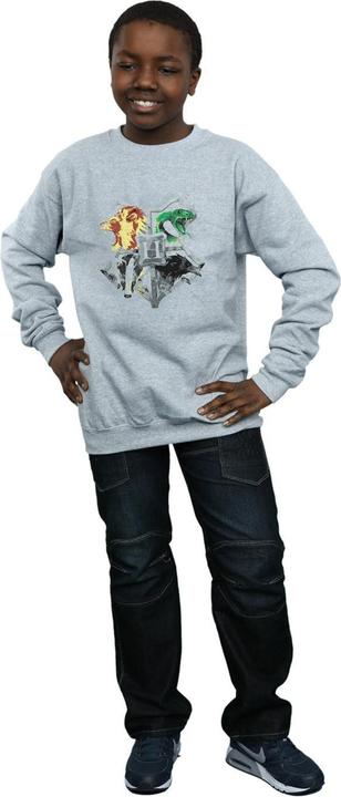 Produktbild Hogwarts Painted Crest Sweatshirt Jungen (128)