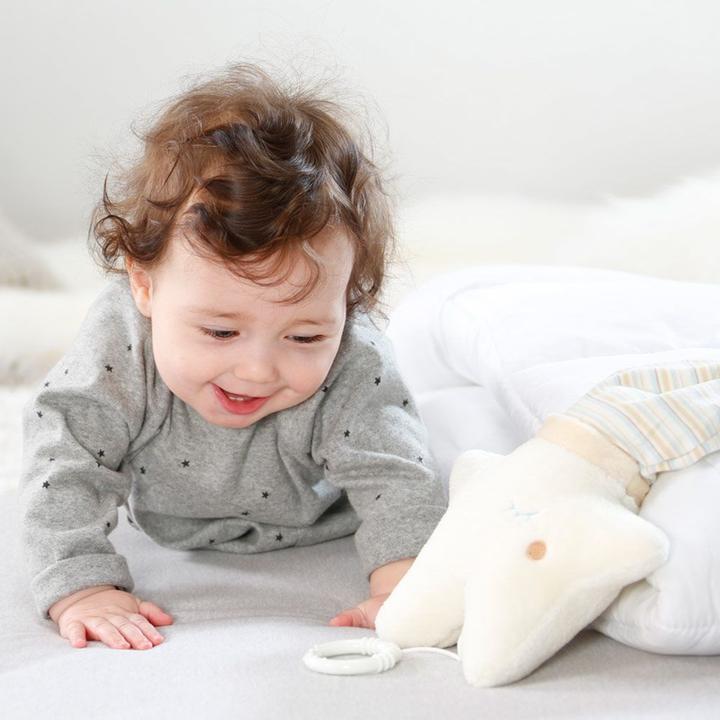 Actual product image Fehn Musical star