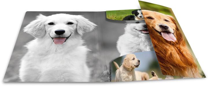 Actual product image HERMA A3 motif folder (A3, 1 x)