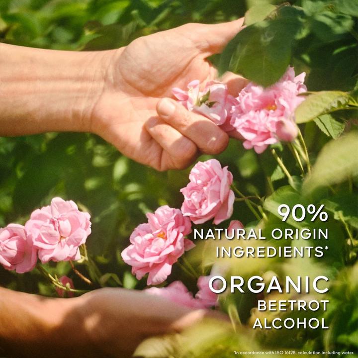 Image du produit Guerlain Parfums La Petite Robe Noire Eau De Toilette Spray 100 Ml (Eau de toilette, 100 ml)