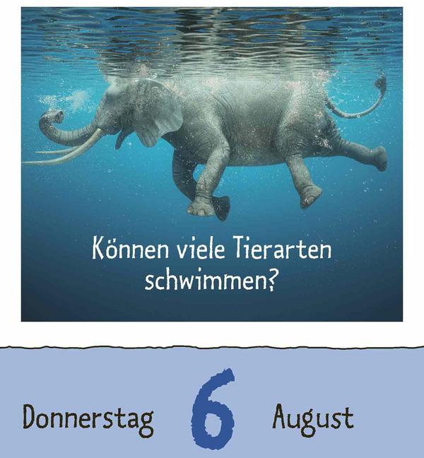 Produktbild Wie faul ist das Faultier? 2026 (12 x 16 cm)