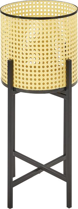 Produktbild Beliani Cotinus (25 x 60 cm)