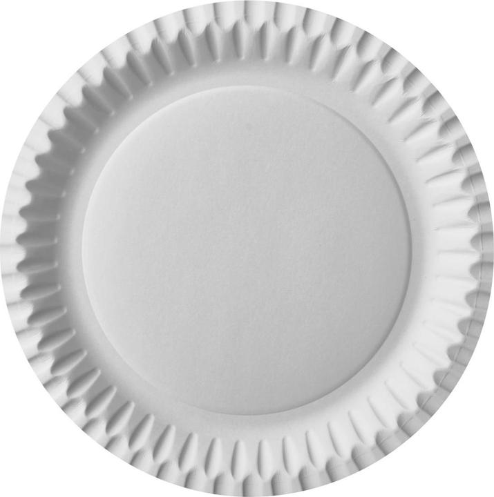 Actual product image Starpak Cardboard plate (100 x)