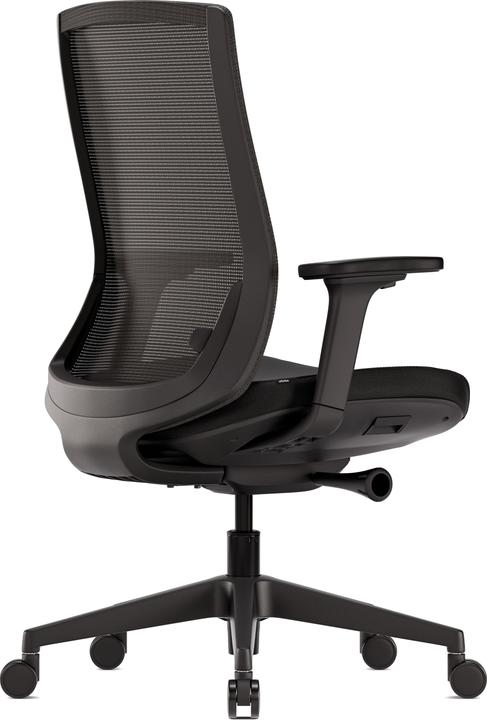 Actual product image ofinto Ergo (43 - 53 cm)
