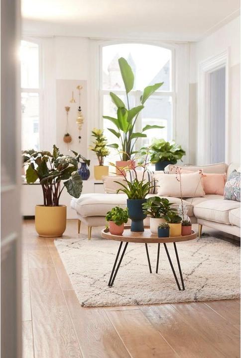 Produktbild Elho Blumenschale (11 x 10.50 cm)