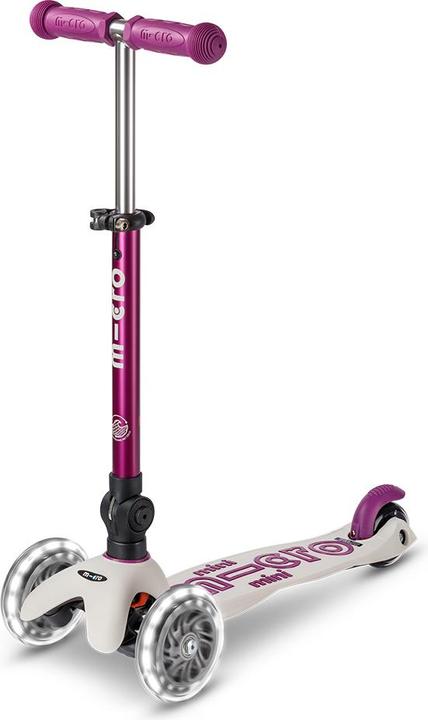 Blanc, Lila, Purple