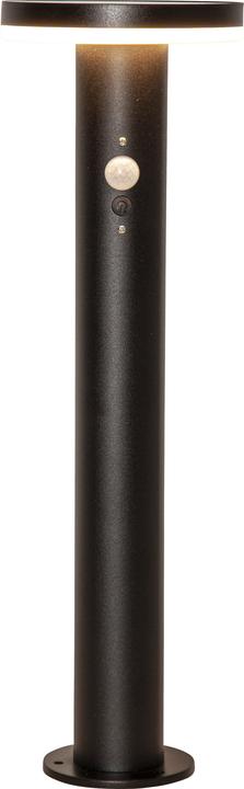 Star Trading Solar Pollerleuchte Valletta (800 lm, IP44)