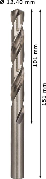 Actual product image Bosch Professional Zubehör PRO Metal HSS-G twist drill, 12.4 x 101 x 151 mm (12.4 mm)