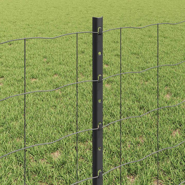 Produktbild vidaXL Eurozaun