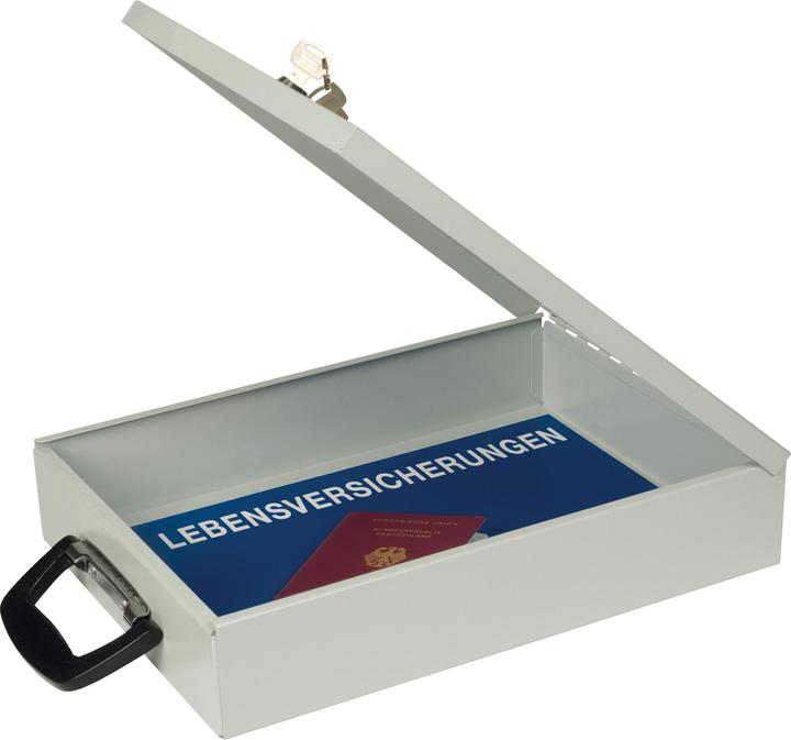 Actual product image Wedo Werner Dorsch Container for documents (A4)
