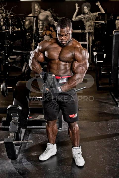 Produktbild Schiek Lifting Gloves Model 540 Platinum Serie BLACK (M)