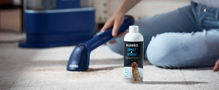 Actual product image Eureka NEY 100