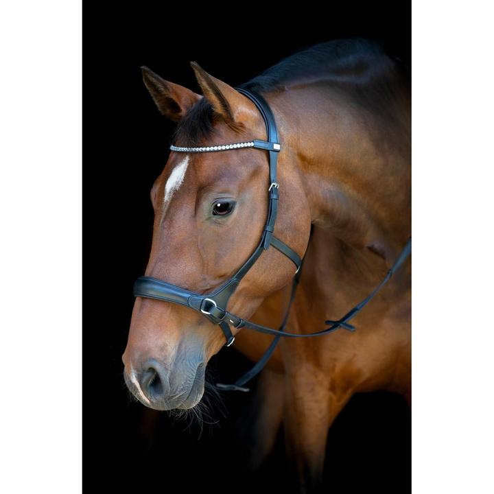 Image du produit Horse Guard Brides sans mors