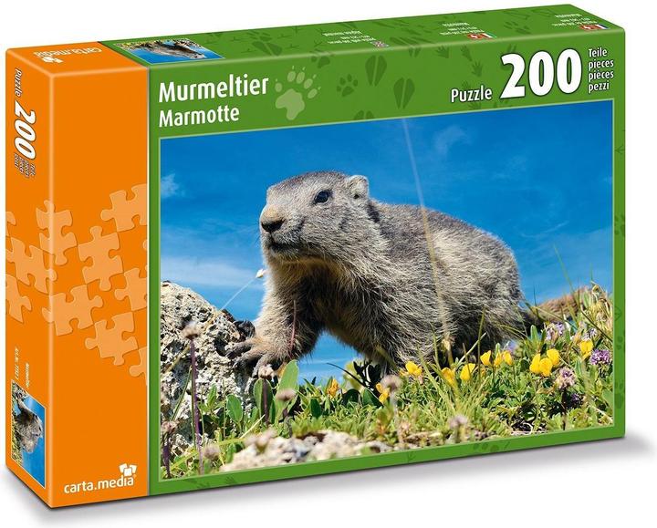 Actual product image Alpine meadow marmot (200 pieces)