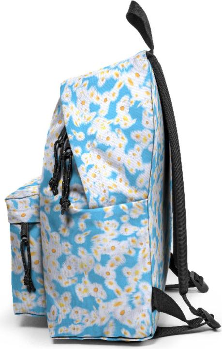 Actual product image Eastpak Pak'R (24 l)