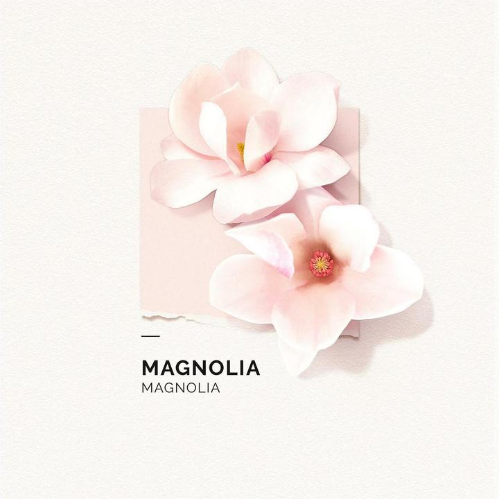 Image du produit Solinotes Magnolia Eau de Parfum (Eau de parfum, 50 ml)
