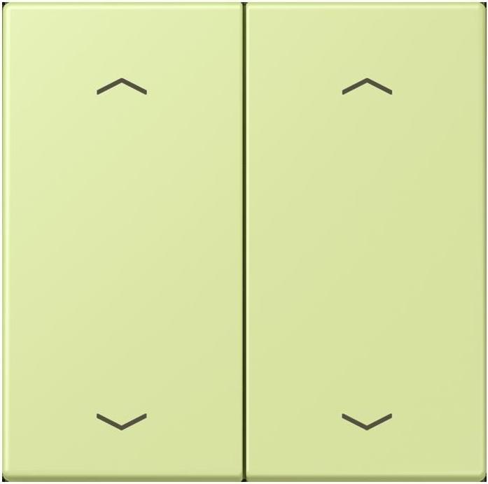 Actual product image JUNG Rocker