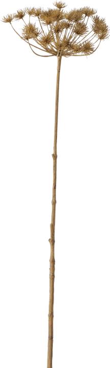 Boltze Home Dekozweig