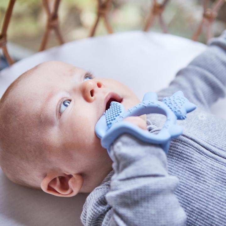 Actual product image B.Box Lullaby Blue (3 Months)