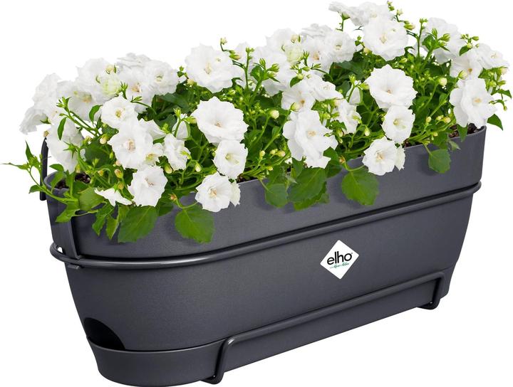Produktbild Elho Vibia Campana Allin1 (26 cm)